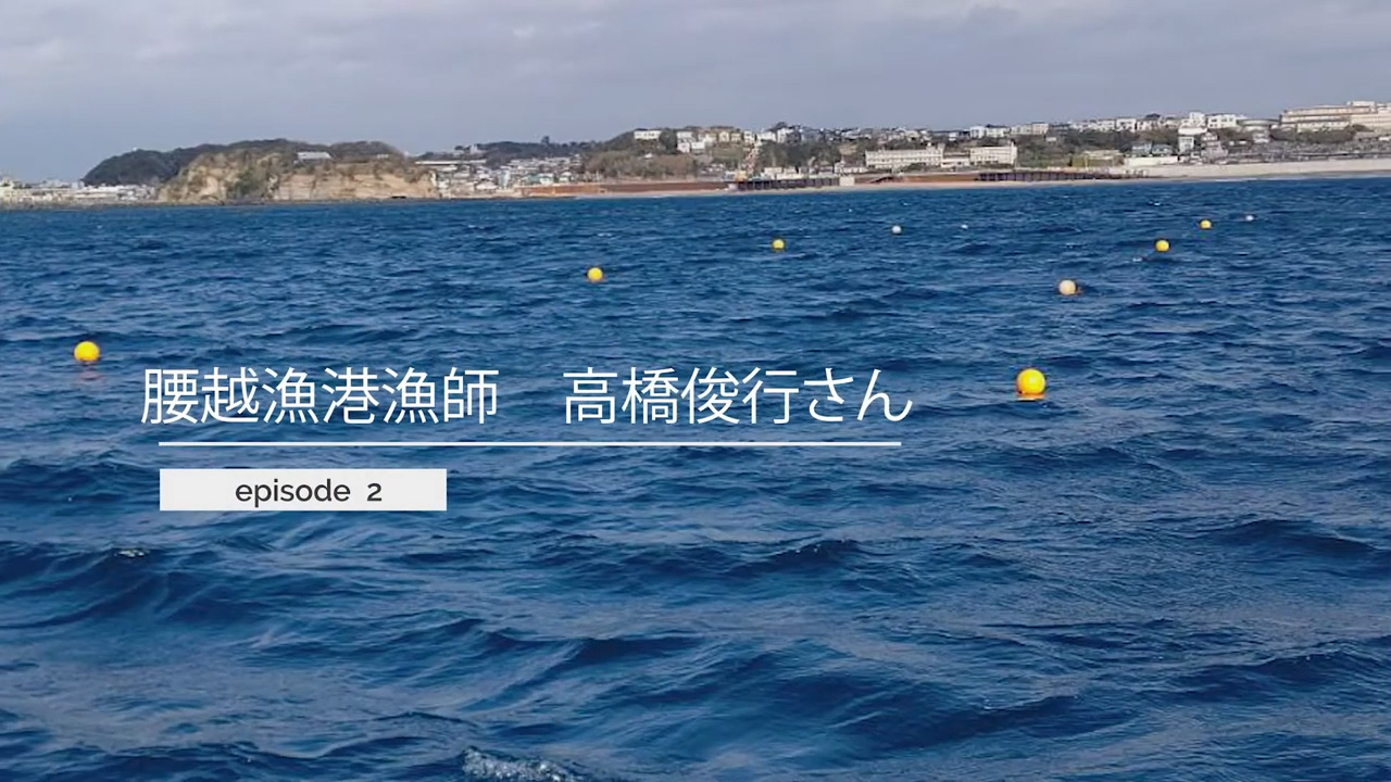 腰越漁港所属漁師　高橋俊行さん