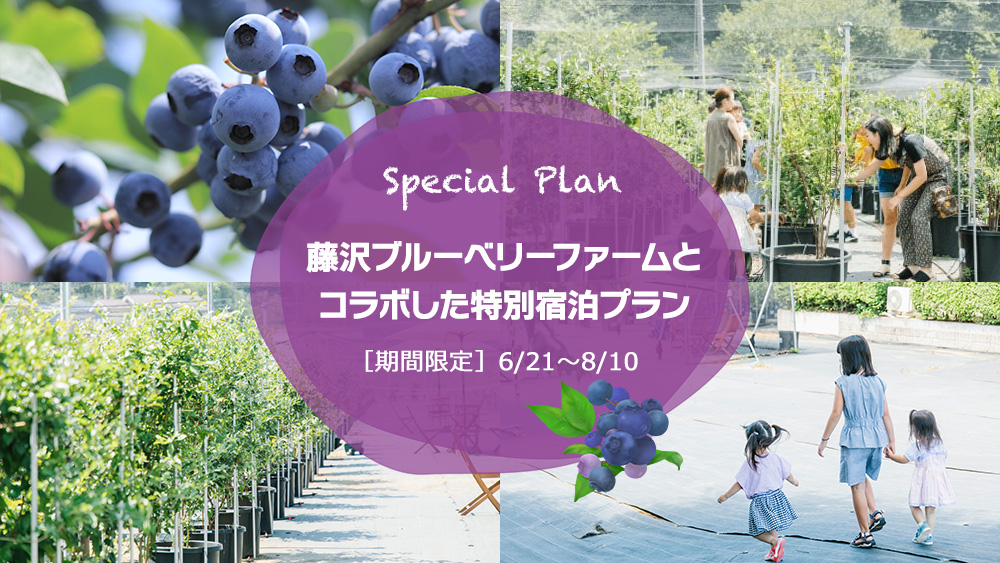 【期間限定】鎌倉で人気の宿がブルーベリーファームとコラボした特別宿泊プラン